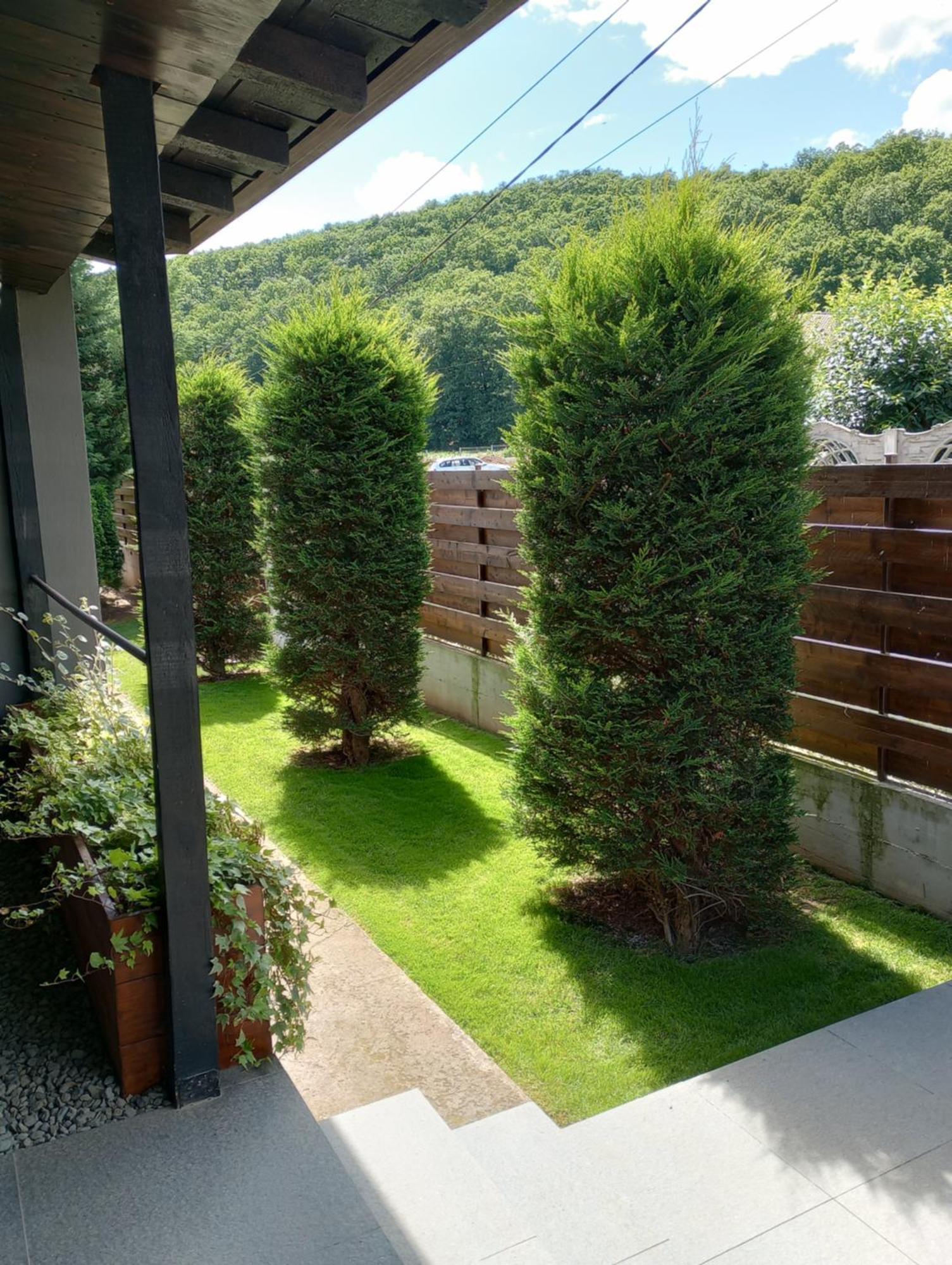 Vila Gosen Sard Luaran gambar